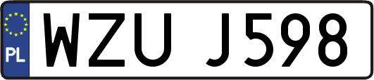 WZUJ598