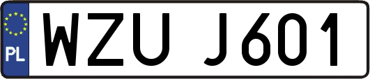 WZUJ601