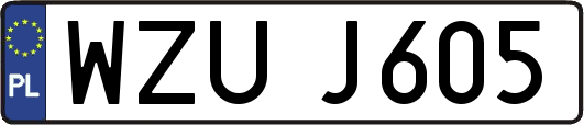 WZUJ605