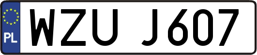 WZUJ607