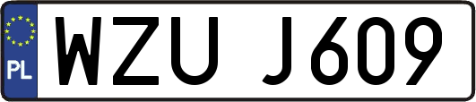WZUJ609