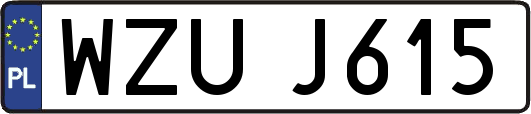 WZUJ615