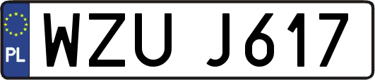 WZUJ617