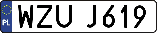 WZUJ619