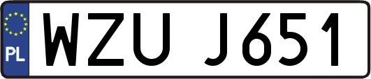 WZUJ651