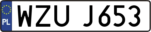 WZUJ653