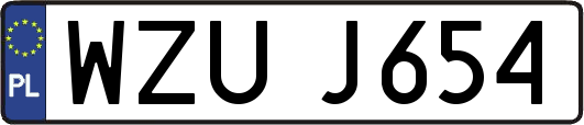 WZUJ654