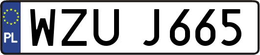 WZUJ665