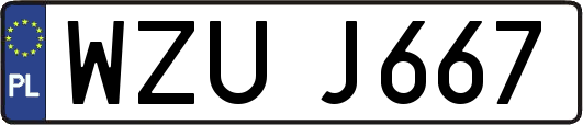 WZUJ667