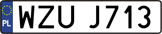 WZUJ713