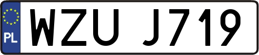 WZUJ719