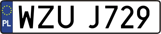 WZUJ729