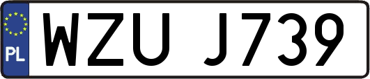 WZUJ739