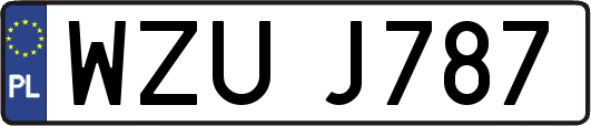 WZUJ787