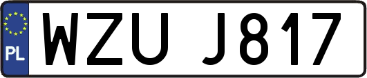 WZUJ817