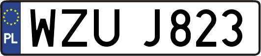 WZUJ823