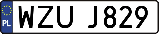 WZUJ829