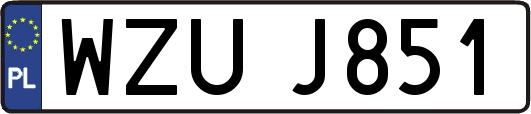 WZUJ851