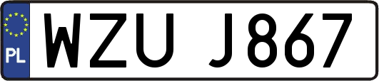 WZUJ867