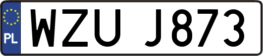 WZUJ873