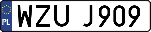 WZUJ909