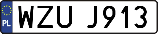 WZUJ913