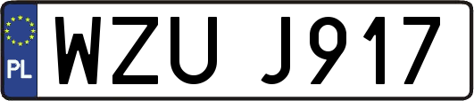 WZUJ917