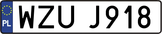 WZUJ918