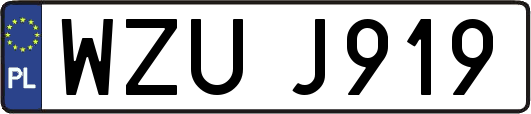 WZUJ919