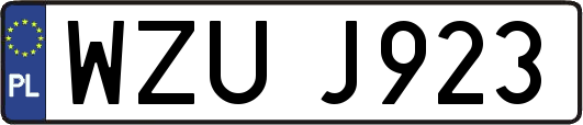 WZUJ923