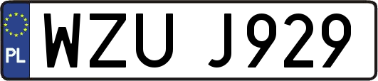 WZUJ929