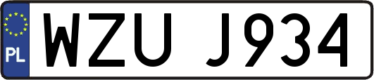 WZUJ934