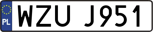WZUJ951