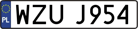 WZUJ954
