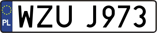 WZUJ973