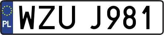 WZUJ981