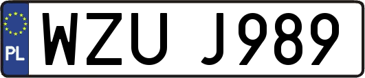 WZUJ989