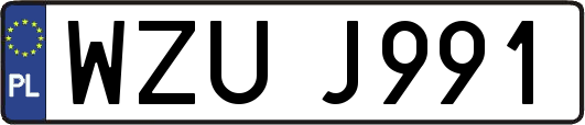 WZUJ991