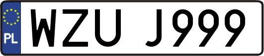 WZUJ999