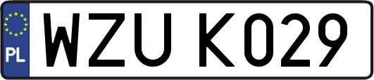 WZUK029