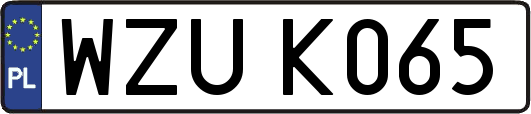 WZUK065