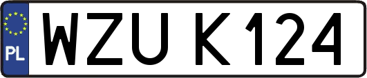 WZUK124