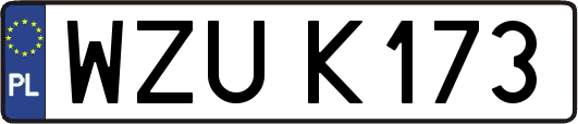 WZUK173