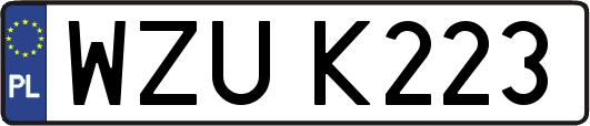WZUK223