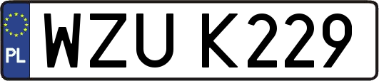 WZUK229