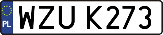 WZUK273