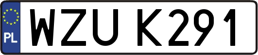 WZUK291