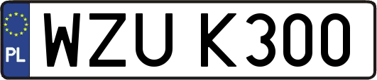 WZUK300