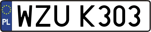WZUK303