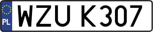 WZUK307